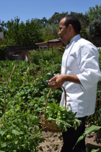 Chef Ernesto in his Organic Garden